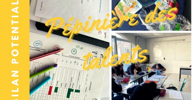 bilan potentialis pepiniere talents